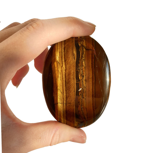 Tiger's Eye Palm Stone
