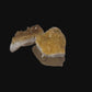 Citrine Crystal Cluster H